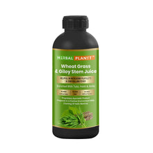 Load image into Gallery viewer, Herbal Planet Wheat Grass & Giloy Stem Juice 500 ml – Ayurvedic juice by Gurukul Ayurved Pharmacy