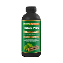 Load image into Gallery viewer, Herbal Planet Giloy Ras 500 ml – Ayurvedic juice by Gurukul Ayurved Pharmacy
